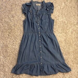 Madewell Blue Ruffled Chambray Button-Front Dress